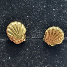14 KT Solid Gold Clam Sea Shell Earrings Post Dainty Small