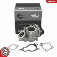 Esen SKV 14SKV317 Agr-Ventil Passend FüR Nissan Opel Renault