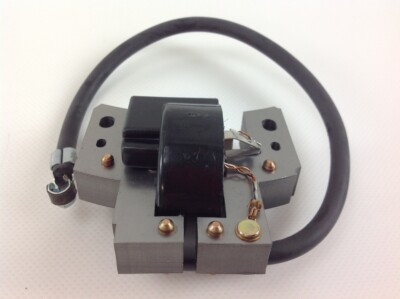 Bobina Di Accensione Adatta Per Tosaerba Champion GGP Stiga