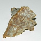 Picture 4 of 6