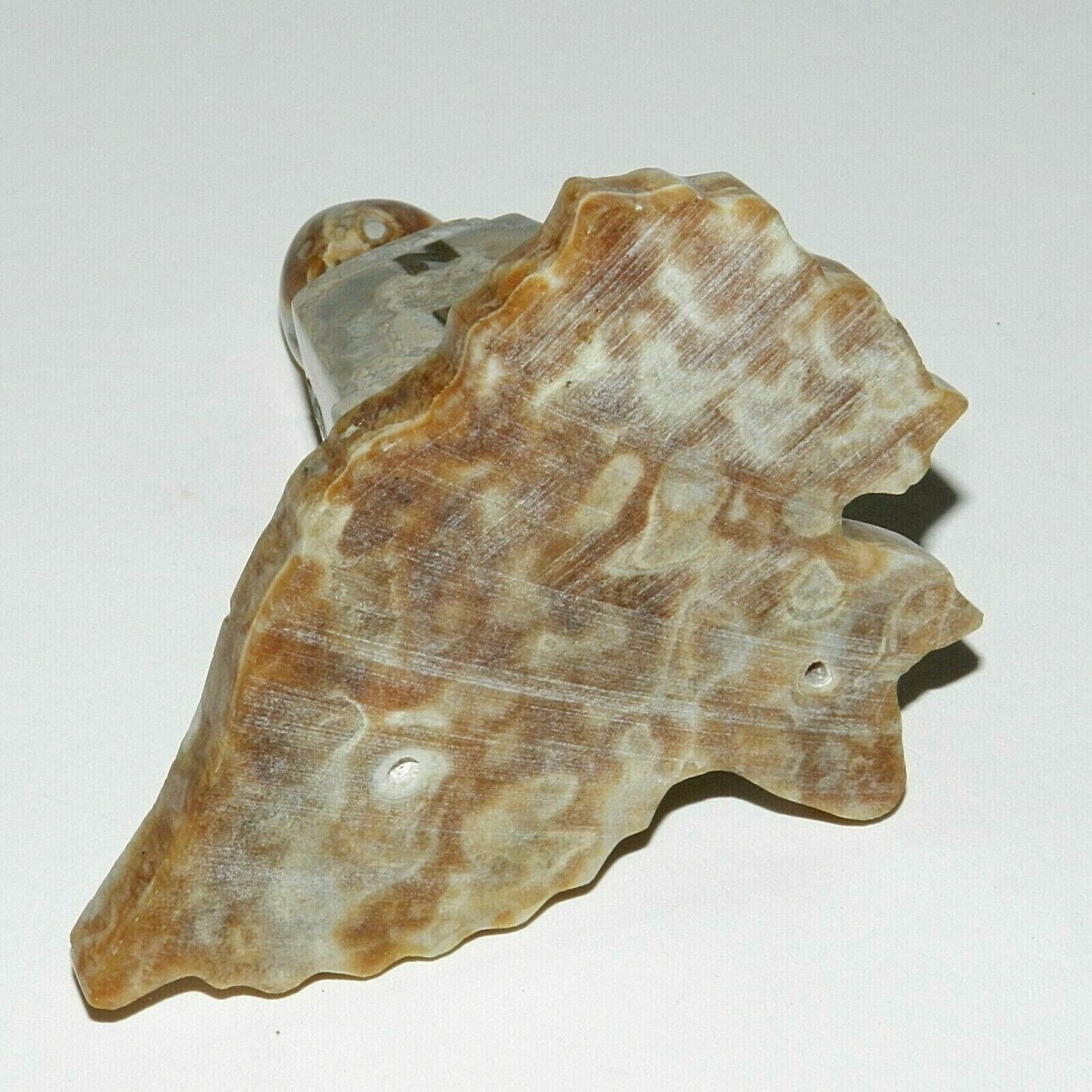 Picture 4 of 6