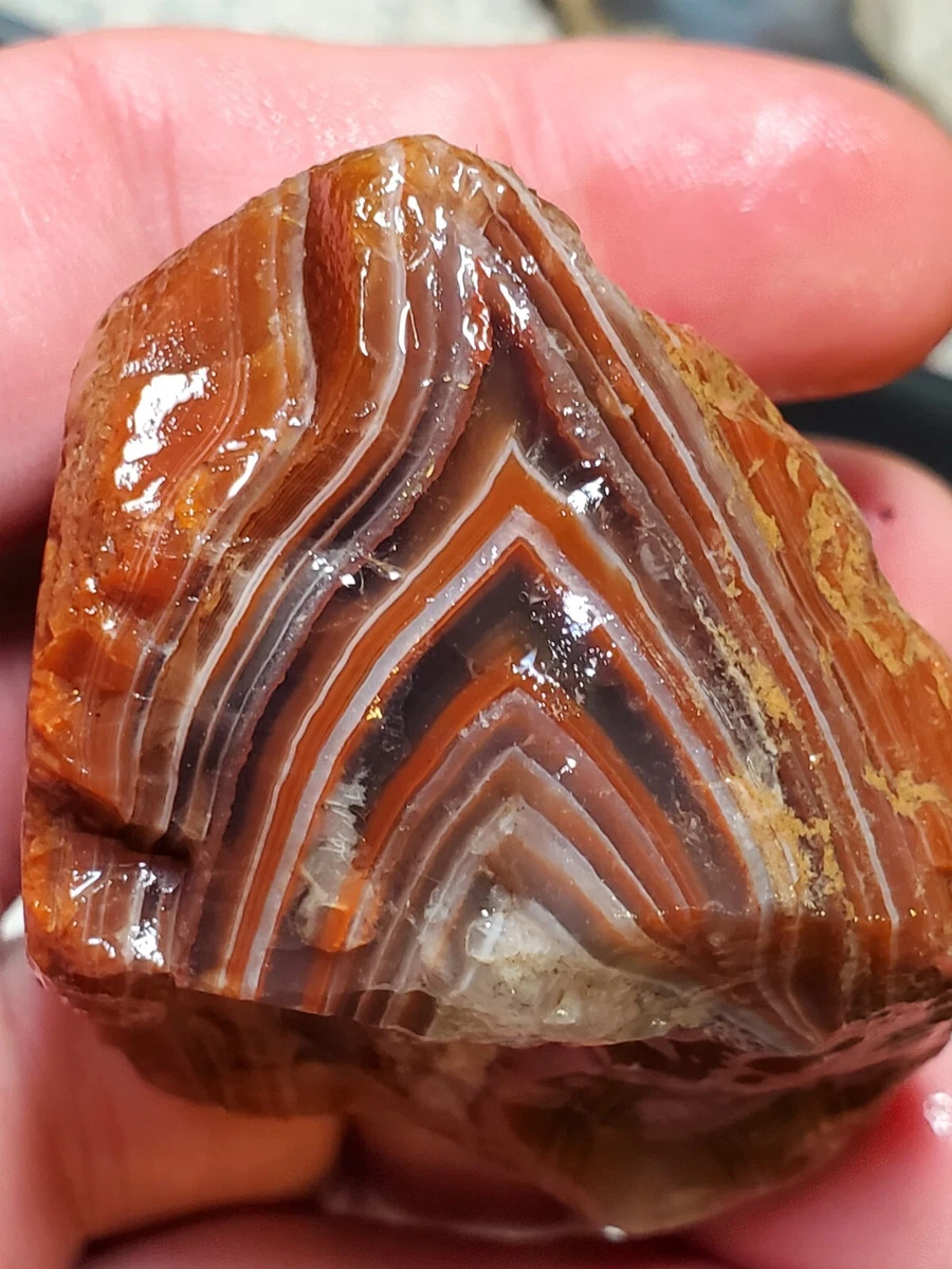 Fortification agate 2024