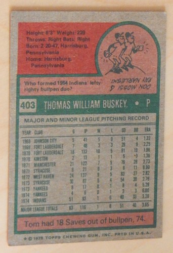 1975 Topps Cleveland Indians Baseball Cards - Set of 7 - Excellent Condition - Picture 8 of 14