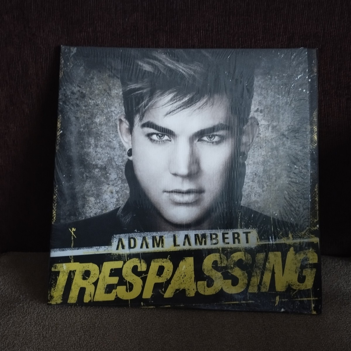 Adam Lambert Trespassing限定LP フォトカード付き 【公式通販】