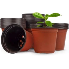 100 Pcs 6 Inch Plastic Nursery Pots Seed Starting Pots for Succulents Plants