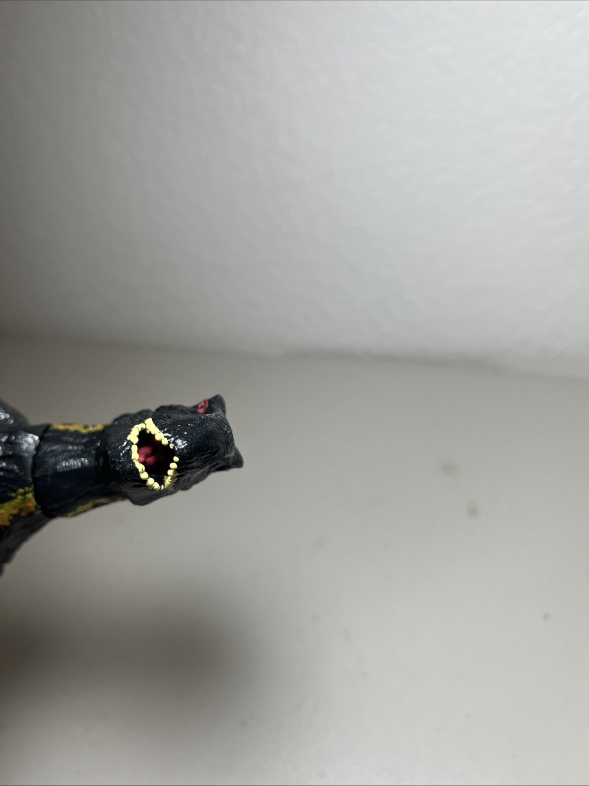 Picture 9 of 17