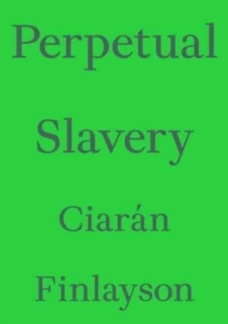 Perpetual Slavery (Critic's Essay Series) - Image 5