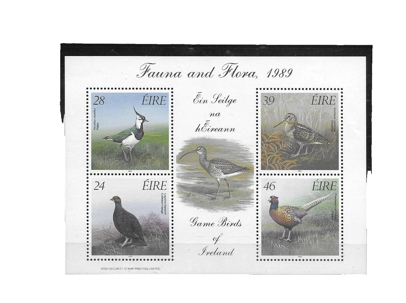 Aves Sellos irlandés Multi-color