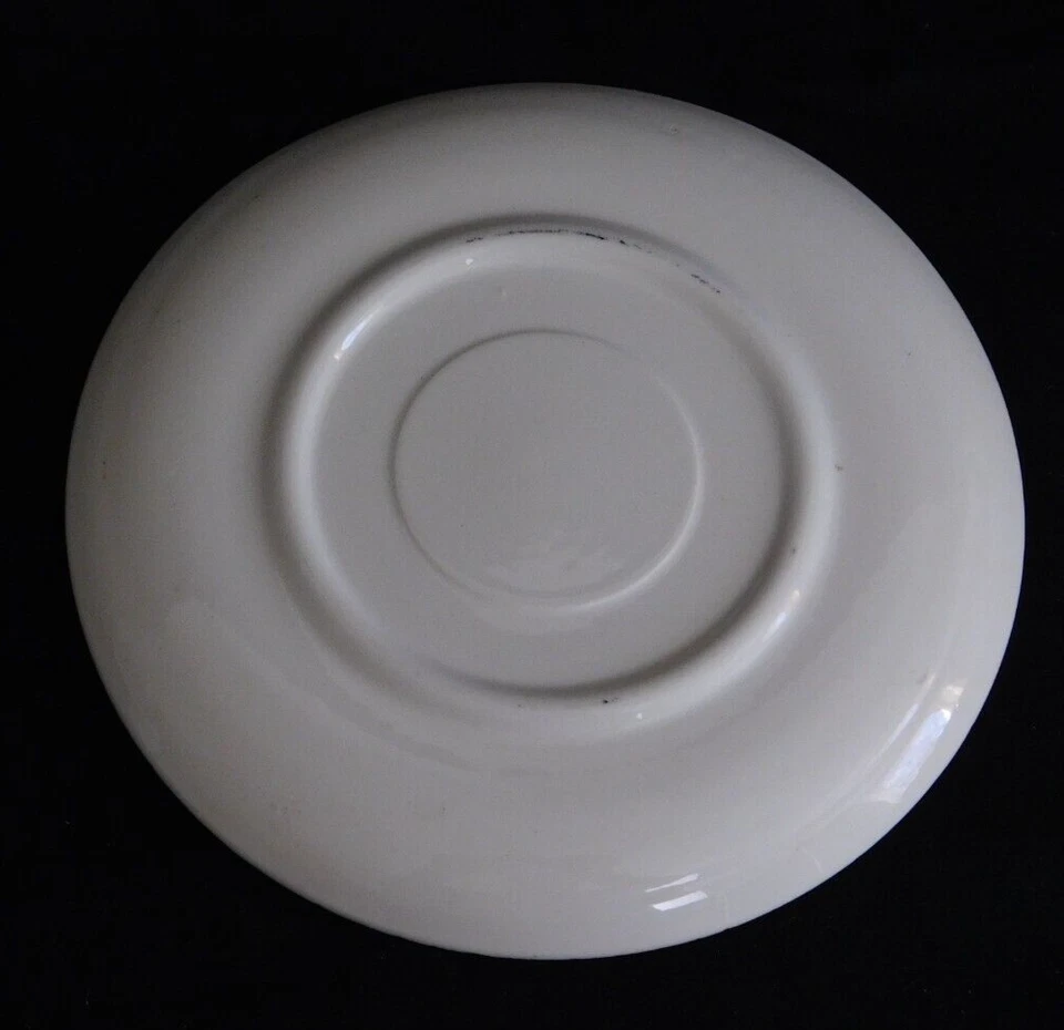 Platillo de frutas de campo Blue Ridge Southern Pottery fruta de guinga, banda amarilla Foto 3 de 3