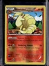 2015 Pokemon XY Primal Clash Ninetales Reverse Holo #21/160