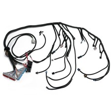 Ls1 Standalone Wiring Harness Fuel Injection Transmission For Ls1 Ls6 Engine