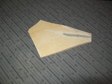 ✅ Dendriten, Mangan Eisen, Solnhofener Plattenkalk gefunden bei Eichstätt #102