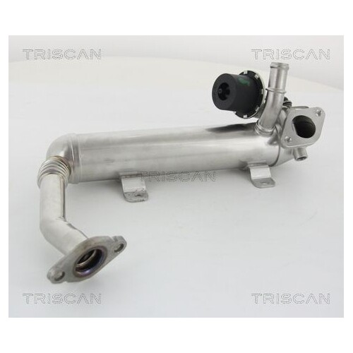 KüHler, AbgasrüCkfüHrung Triscan 8813 29319 FüR Audi Seat Skoda VW Hitachi-image