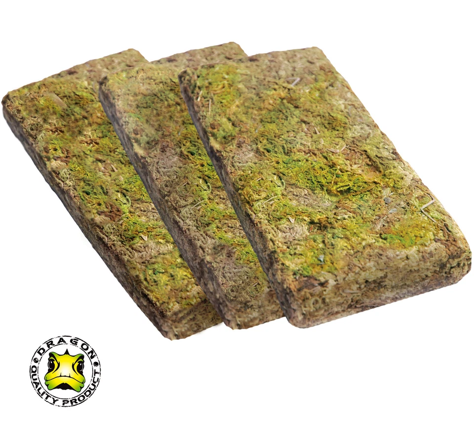Dragon Waldmoos, Natur, getrocknet, 3x100g Briketts, Terrarium Moos, /NM-12