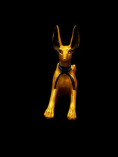 Dios Anubis Chacal - Dios de la Muerte y el Poder en el Antiguo Egipto - Pieza de Decoración
