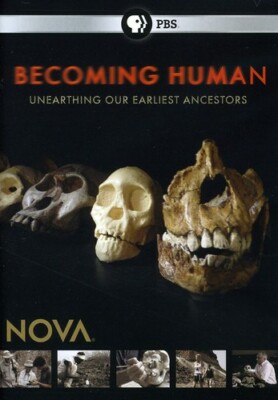 Becoming Human DVDs
