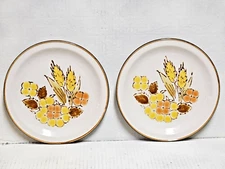 International China Stoneybrook Rushwood Salad Plates 7 5/8" Flowers Exc Set 2