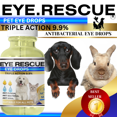 Eye Infection Drops for Pets Dogs Cats ⭐VET STRENGTH ⭐ Bacterial, Viral