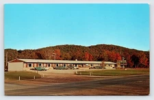 The Motel Vacationer, Munising Michigan, Vintage 1960s Postcard  P12