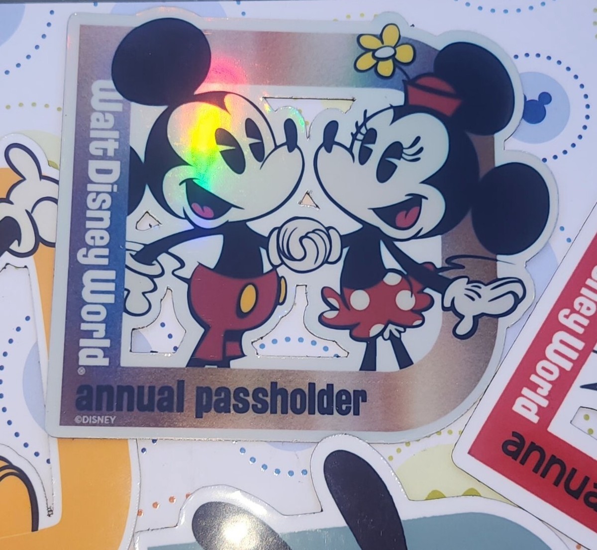 アメリカ WaltDineyWorld パスホルダー マグネット ディズニー Walt disney world Passholder Magnet Set Of 8 Magnets