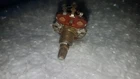 Picture 6 of 8
