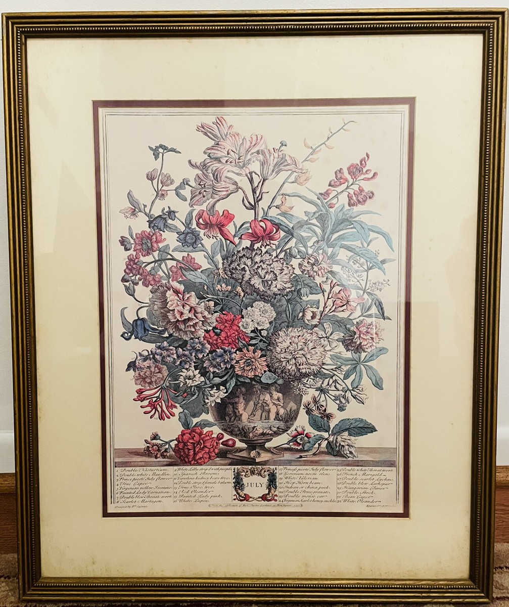 1730 TWELVE MONTHS OF FLOWERS, JULY by Robert Furber | eBay