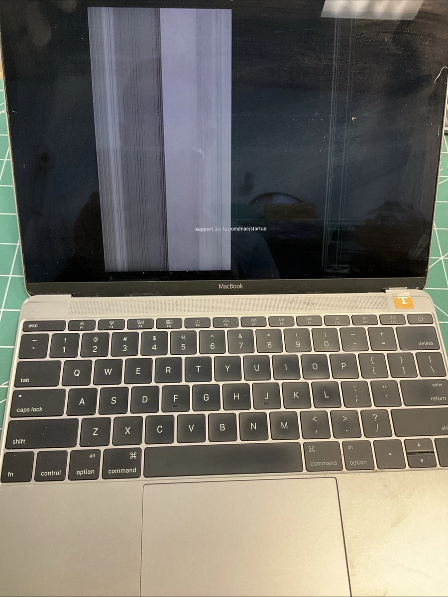 2015 Apple MacBook 12 Inch Laptops for sale | eBay