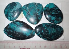 Turquoise Stone Free Form Flat Cabochon 426.5 Carat 5 Pcs