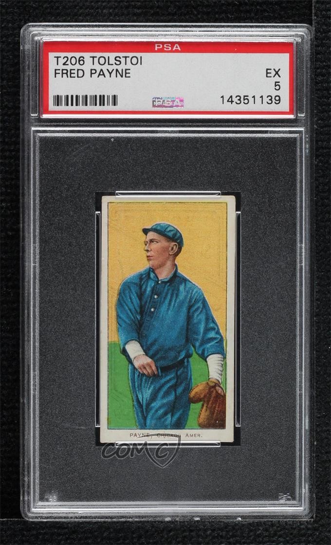 1909-11 T206 Tolstoi Back Fred Payne PSA 5 0q4x