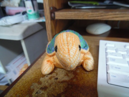 Ty Peekaboo turtle plush beanie baby babies -6"
