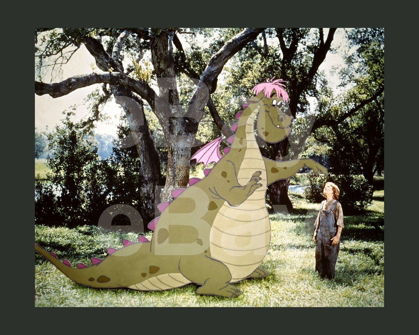Pete's Dragon (1977) Sean Marshall 16x12 Photo Poster Print