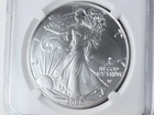 NobleSpirit 2025 American Silver Eagle Privy First Release NGC MS70 Magnum Opus