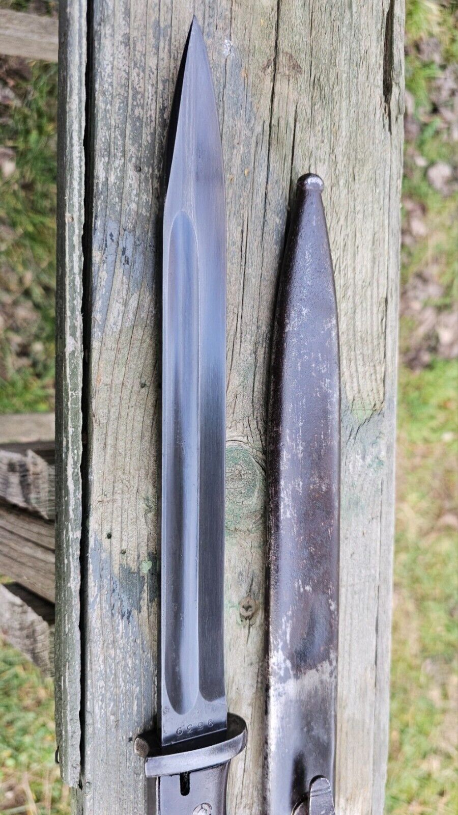 Picture 15 of 17