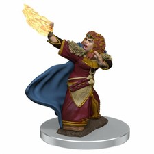DWARF FEMALE WIZARD D D Icons of the Realms Premium Wizkids WZK93056