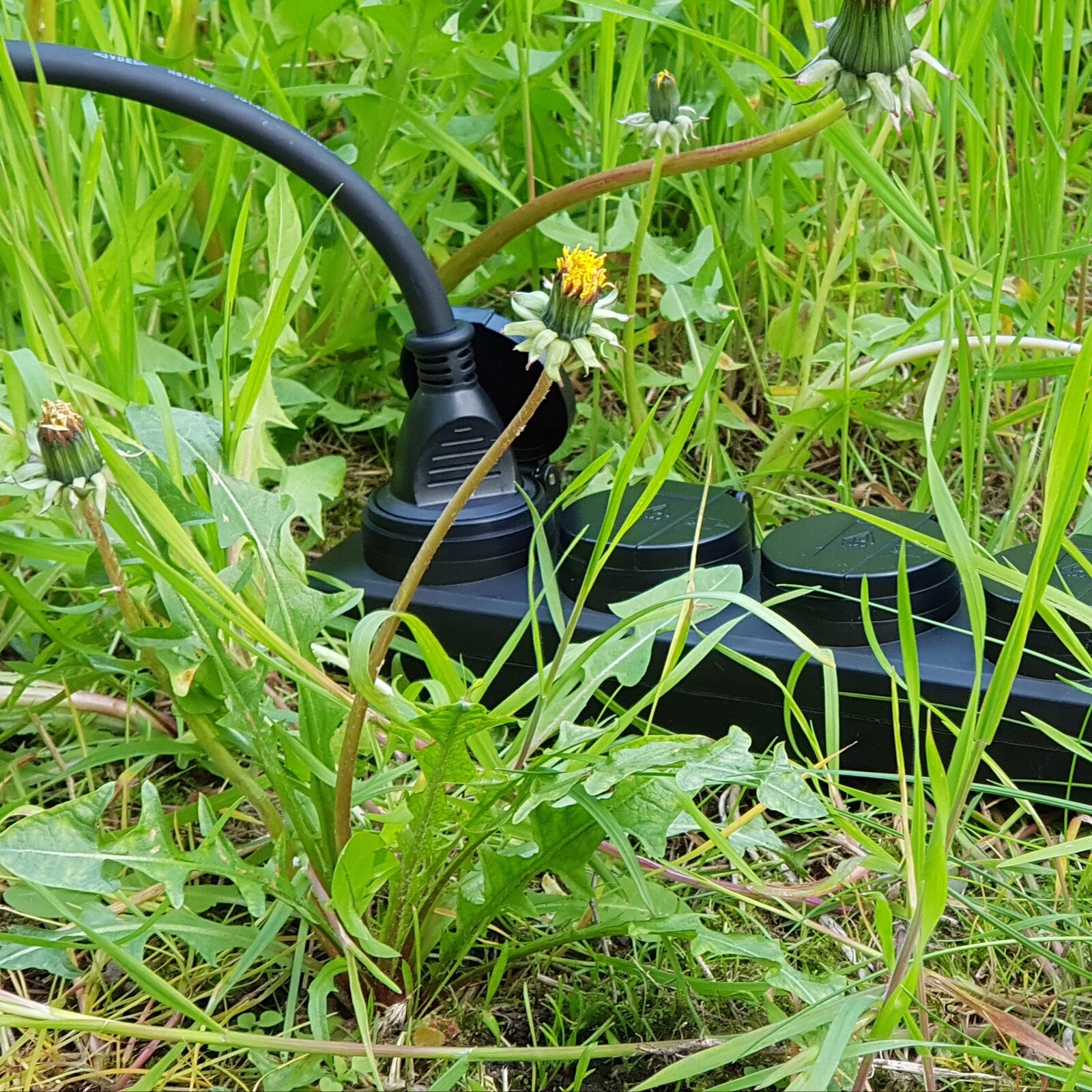 Außen-Steckdose Schutzkontakt Mit Deckel IP44 230V Produktbild-Vorschau 1