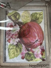 Printed needlepoint tapestry kits With Floss  20x25 Cm Apple Rto