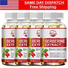 High Strength Berberine HCl 1200mg - Berberine Supplement - Blood Sugar Health