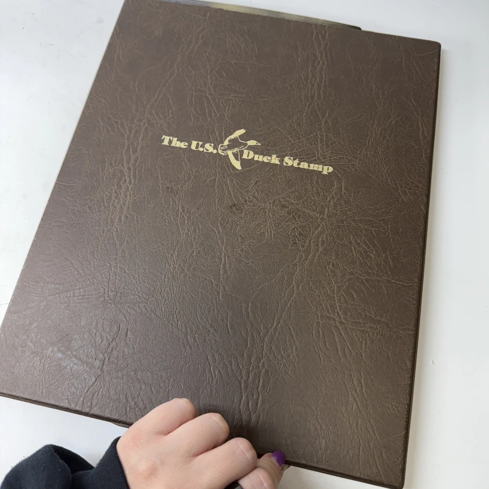 Sellos de pato silbante de vientre negro 1990 panel de arte de coleccionista firmado MNH Foto 4 de 4