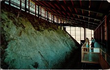 1964 Fossil Quarry Dinosaur National Monument Utah Colorado Postcard Posted