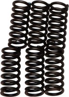 EBC Brake TS RM 50 80 85 125 - VerstäRkte Kupplungsfeder-Kit - CSK1