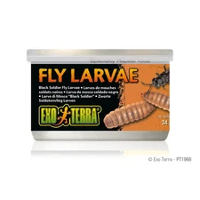 Exo Terra Black Soldier Fly Larvae 1.2 oz