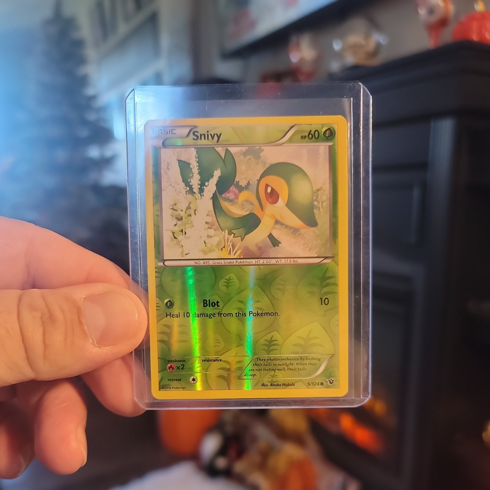 Pokemon Reverse Holo Snivy XY - Fates Collide 5/124 LP