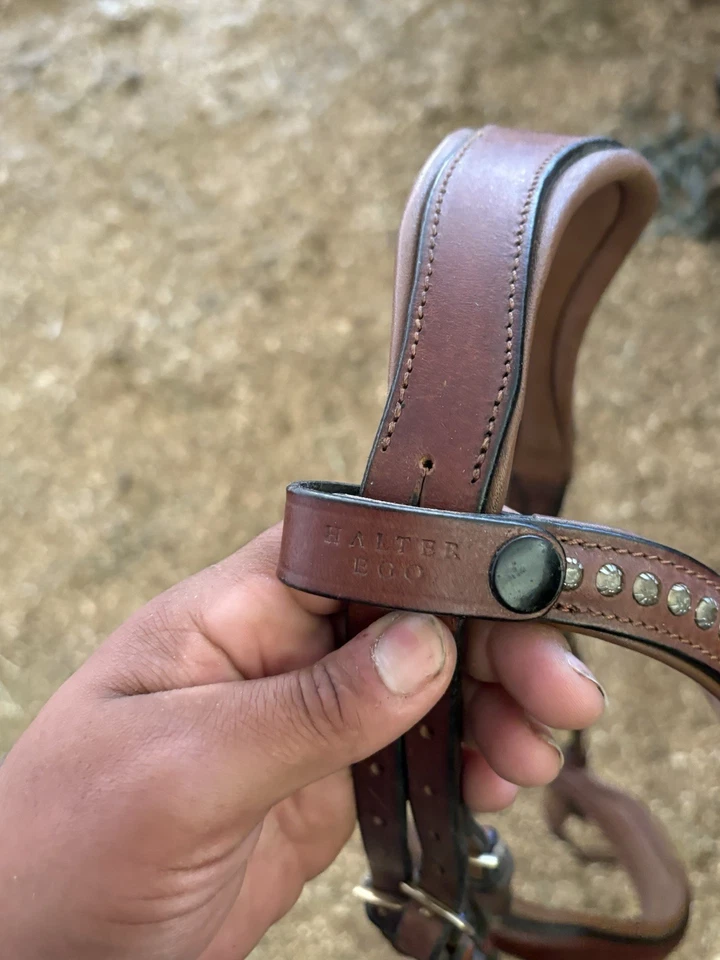 Halter Ego cognac bridle and reins Full - Image 2 of 3