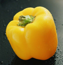 Graines de Poivron Jaune x50 🌱 Mon Petit Jardin 🌱 Méthode de culture BIO
