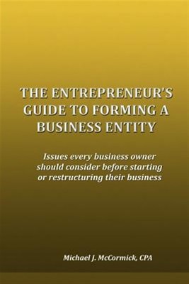 The Entrepreneur's Guide to Forming a Business Entity: Issues Every Business ...