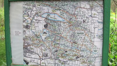 Foto 12x8 Karte, Devilla Forest Culross Jemand hat diese gut gezeichneten gepostet c2011