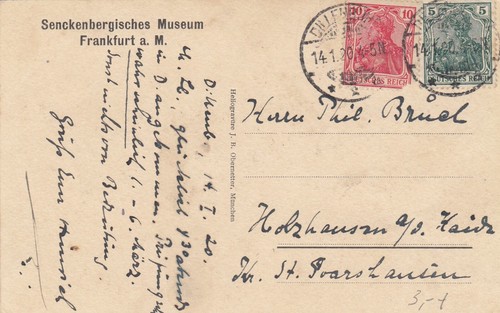 Frankfurt AK 1920 Senckenbergisches Museum Seeotter Tiere Hessen 2404098 - Picture 2 of 2