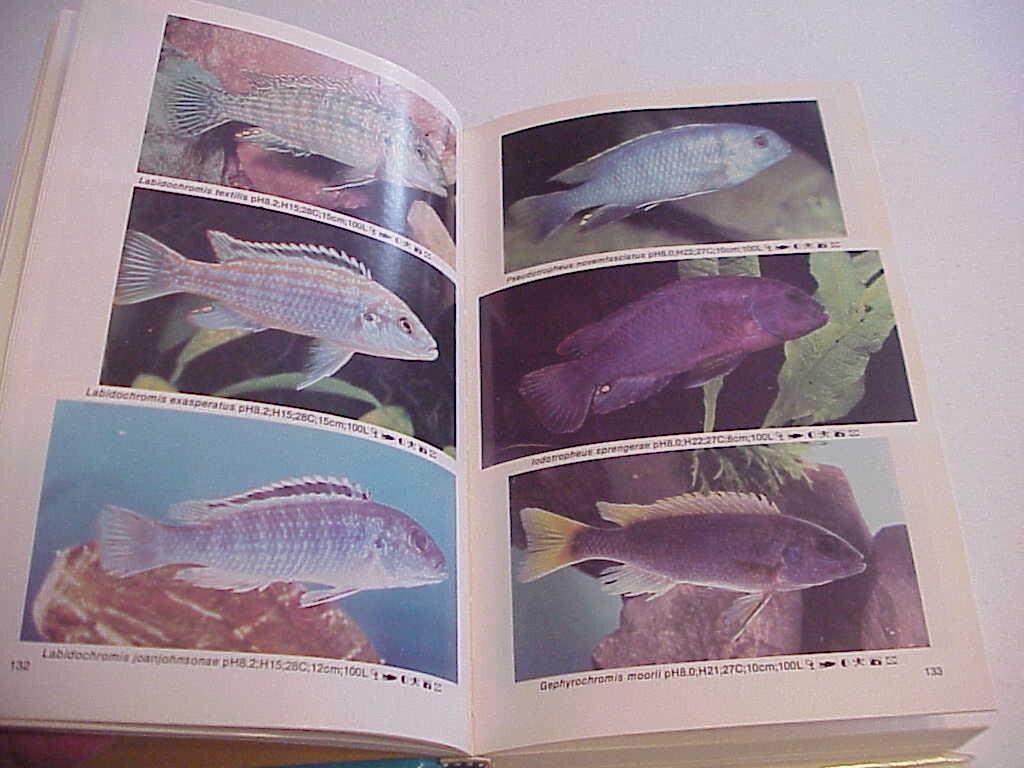洋書　Dr. Axelrod's Mini-Atlas 淡水魚 Dr. Axelrod's Mini-Atlas of Freshwater Aquarium Fishes