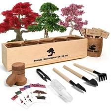 Bonsai Tree Kit with Complete Growing Starter Kit, Great Potted Growing DIY G...