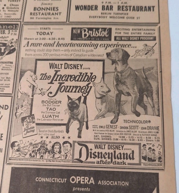 JAN 17, 1964 NEWSPAPER PG #2251- WALT DISNEY PRESENTS " THE INCREDIBLE JOURNEY"
